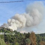 Φωτιά στη Χαλκιδική: Μαίνεται για δεύτερη μέρα, καίει πευκοδάσος