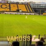 "Vamos"