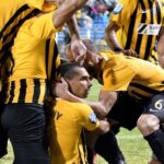 Ένας χρόνος Ντιγκινί (pic)