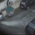 Xαλάζι σε μέγεθος… καρυδιού στις Πρέσπες!
