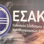 “Καταδικάζουμε απερίφραστα τη ρατσιστική επίθεση σε Μορέιρα”