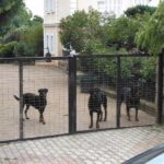 Ιατροδικαστικό πόρισμα-σοκ για την επίθεση των Ροτβάιλερ