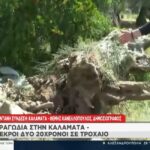 Τραγωδία στην Καλαμάτα: Νεκροί δύο 20χρονοι σε τροχαίο (vid)