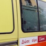 Καταπλακώθηκε από φοίνικα και κατέληξε