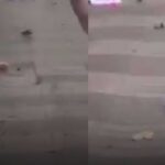 Νεκροί και τραυματίες από το τρομοκρατικό χτύπημα στη Βαρκελώνη (vid)