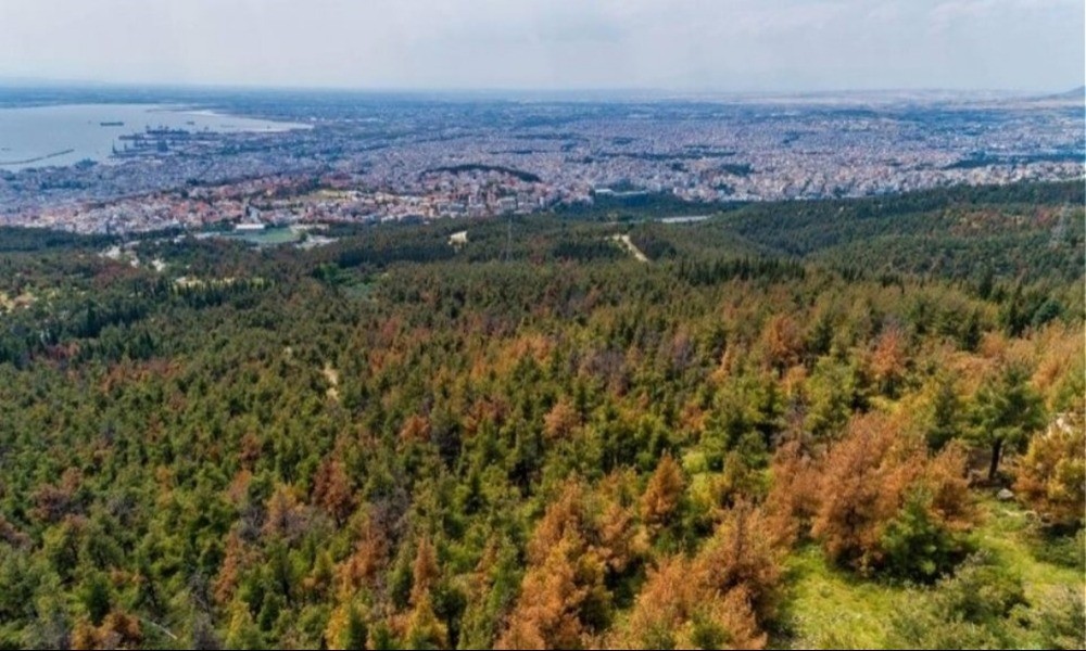 Παράταση στην απαγόρευση κυκλοφορίας στο Σέιχ Σου (vid)