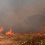 Υπό έλεγχο η φωτιά στην Ιεράπετρα