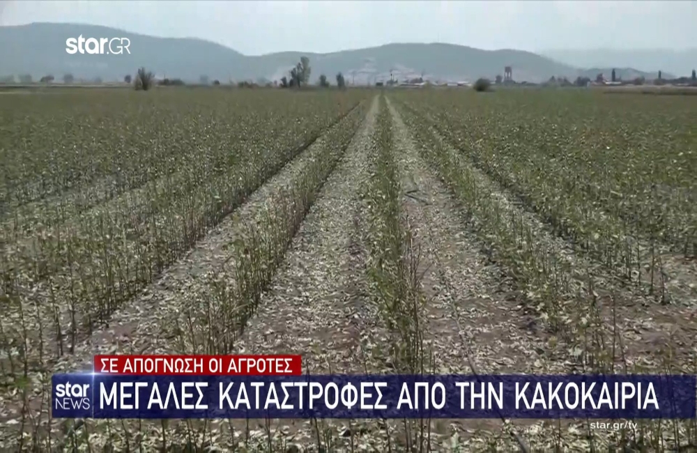 Βόρεια Ελλάδα: Μεγάλες καταστροφές από την κακοκαιρία – Σε απόγνωση οι αγρότες (vid)