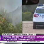 Σέρρες: Ένας 20χρονος σκότωσε συνομήλικό του (vid)
