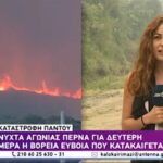 Ολική η καταστροφή στην Βόρεια Εύβοια (vid)