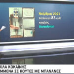 82 κίλα κοκαΐνης: Κρυμμένα σε κούτες με μπανάνες (vid)