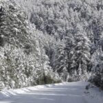 Καιρός: Άγγιξε τους -9 º C το θερμόμετρο – Οι χαμηλότερες θερμοκρασίες
