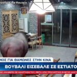 Απίστευτο σκηνικό στην Κίνα – Βούβαλος εισέβαλε σε μαγαζί και σήκωσε πελάτη στον αέρα (vid)