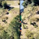 Αστυνομικός πιάστηκε στα… πράσα κι έγινε viral (vid)