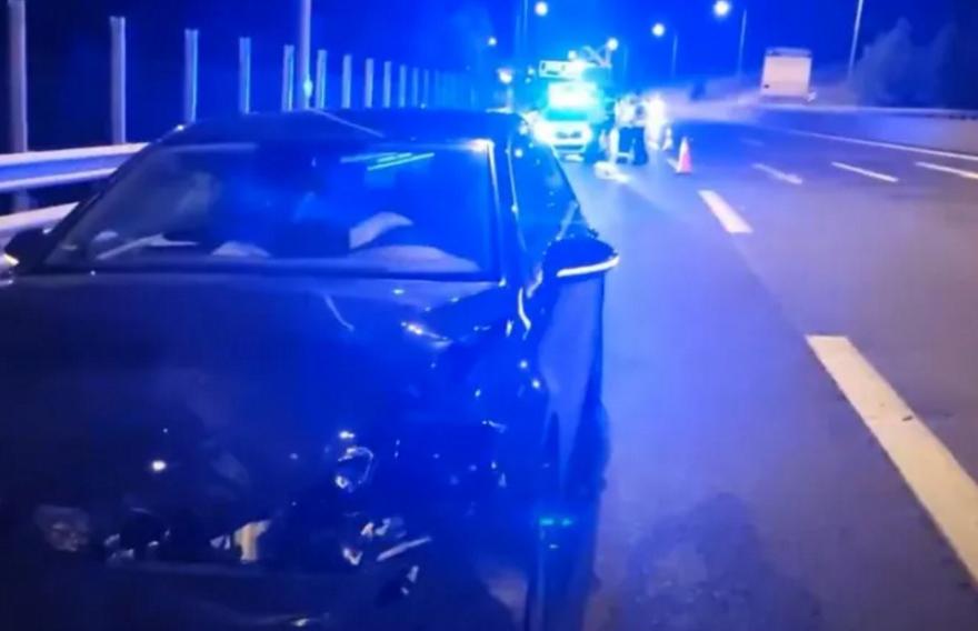 Κοζάνη: Αυτοκίνητο συγκρούστηκε με αρκούδα στην Εγνατία Οδό (vid)