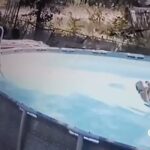ΗΠΑ: 10χρονος έσωσε τη μητέρα του από πνιγμό (vid)