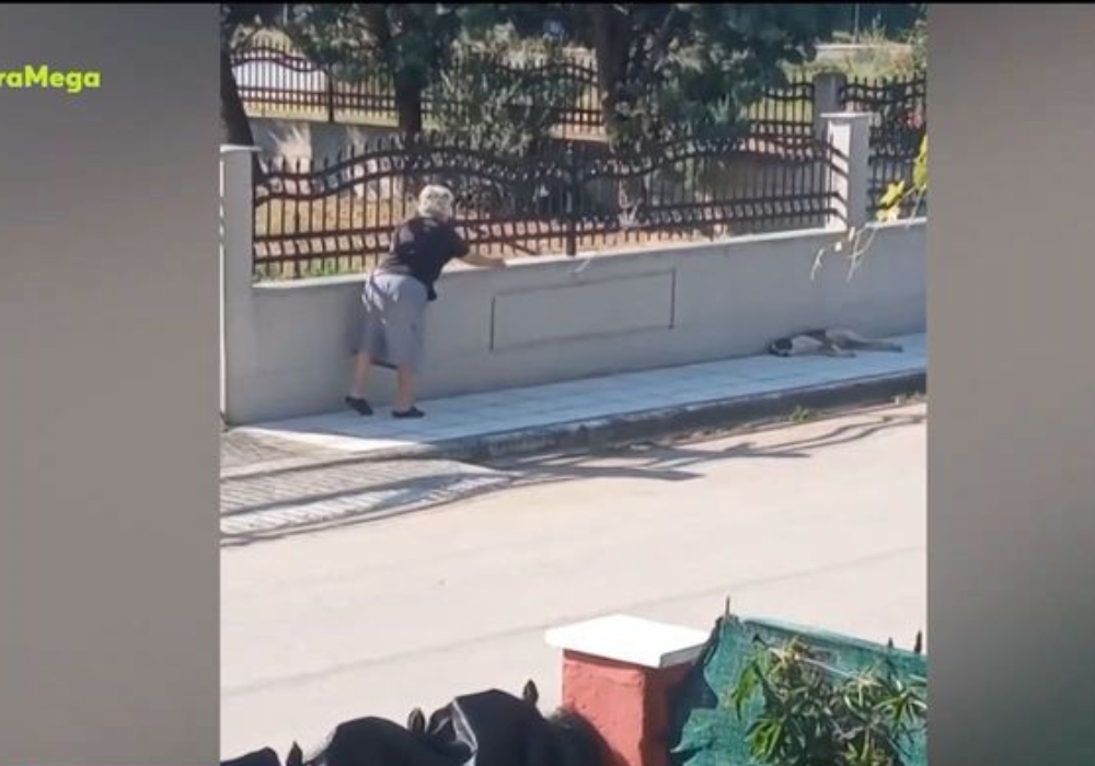 Θεσσαλονίκη: Οργή για την 75χρονη που επιτέθηκε άνευ λόγου σε σκύλο (vid)