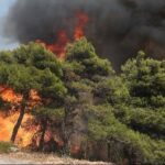 Αναζωπυρώθηκε η φωτιά στη Θάσο (vid)