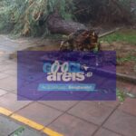 Θεσσαλονίκη: Έπεσαν δέντρα και άνοιξαν οι δρόμοι στο κέντρο (pics)