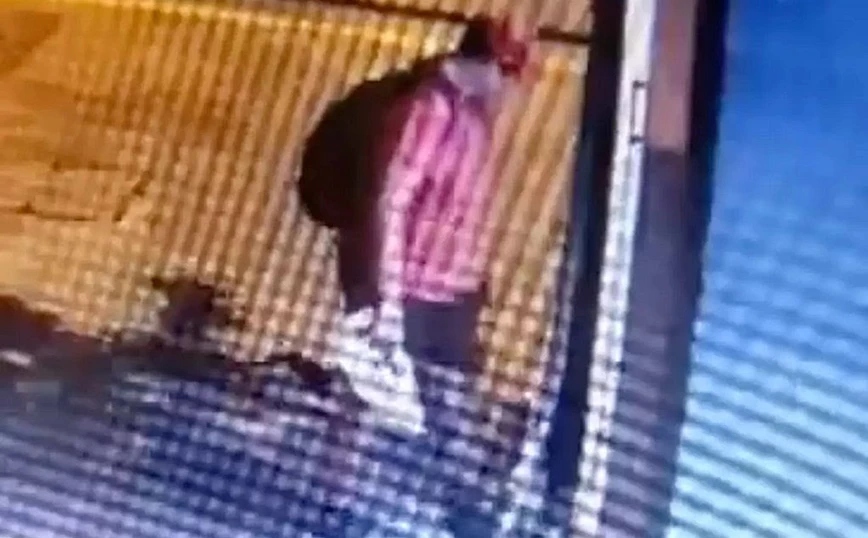Θεσσαλονίκη: Διδάκτωρ στο ΑΠΘ ο 39χρονος που ποδοπάτησε μέχρι θανάτου το γατάκι (vid)