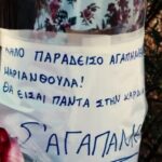 Θεσσαλονίκη: Ραγίζει καρδιές η μητέρα της 27χρονης που «έσβησε» στην άσφαλτο (vid)