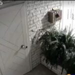 Έκλεψαν όλα τα μπρούτζινα πόμολα από γειτονιά της Θεσσαλονίκης (vid)