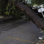 Χαλκιδική: Χωρίς τις αισθήσεις του άνδρας που καταπλακώθηκε από δέντρο