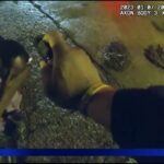 Βίντεο ντοκουμέντο: Ο θανάσιμος ξυλοδαρμός του Τάϊρ Νίκολς (vid)