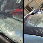 Ηράκλειο Κρήτης: Οδηγός βρήκε το παρκαρισμένο αμάξι του «λουσμένο» με… κιμά! (vid)