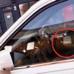 Σε μπελάδες ο Χάαλαντ για ένα κινητό