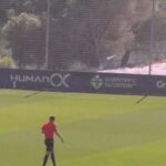 Τεράστιο σμήνος από κουνούπια διακόπτει ποδοσφαιρικό αγώνα στην Ισπανία (vid)