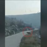 Κοζάνη: Οδηγός ήρθε αντιμέτωπος με… πέντε αρκούδες στα Σιάτιστα! (vid)