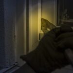 Βίντεο-ντοκουμέντο: Διαρρήκτες προσπάθησαν να μπουν σε μεζονέτα στη Θεσσαλονίκη (vid)