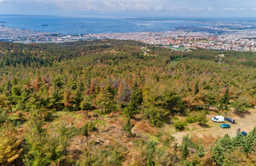 Απαγορεύεται η κυκλοφορίας σε Σέιχ Σου και στα δάση της Θεσσαλονίκης (vid)