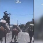Γαϊδουράκια ανεβαίνουν  σκαλοπάτια με τσιμέντο στην πλάτη μέσα στον καύσωνα – Σφοδρές αντιδράσεις (vid)