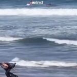 Αυστραλία: Influencer προσποιούνταν ότι καθάριζε παραλία για τα likes αλλά… (vid)