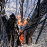 Σωτήρια για τη φωτιά στην Καβάλα η βροχή