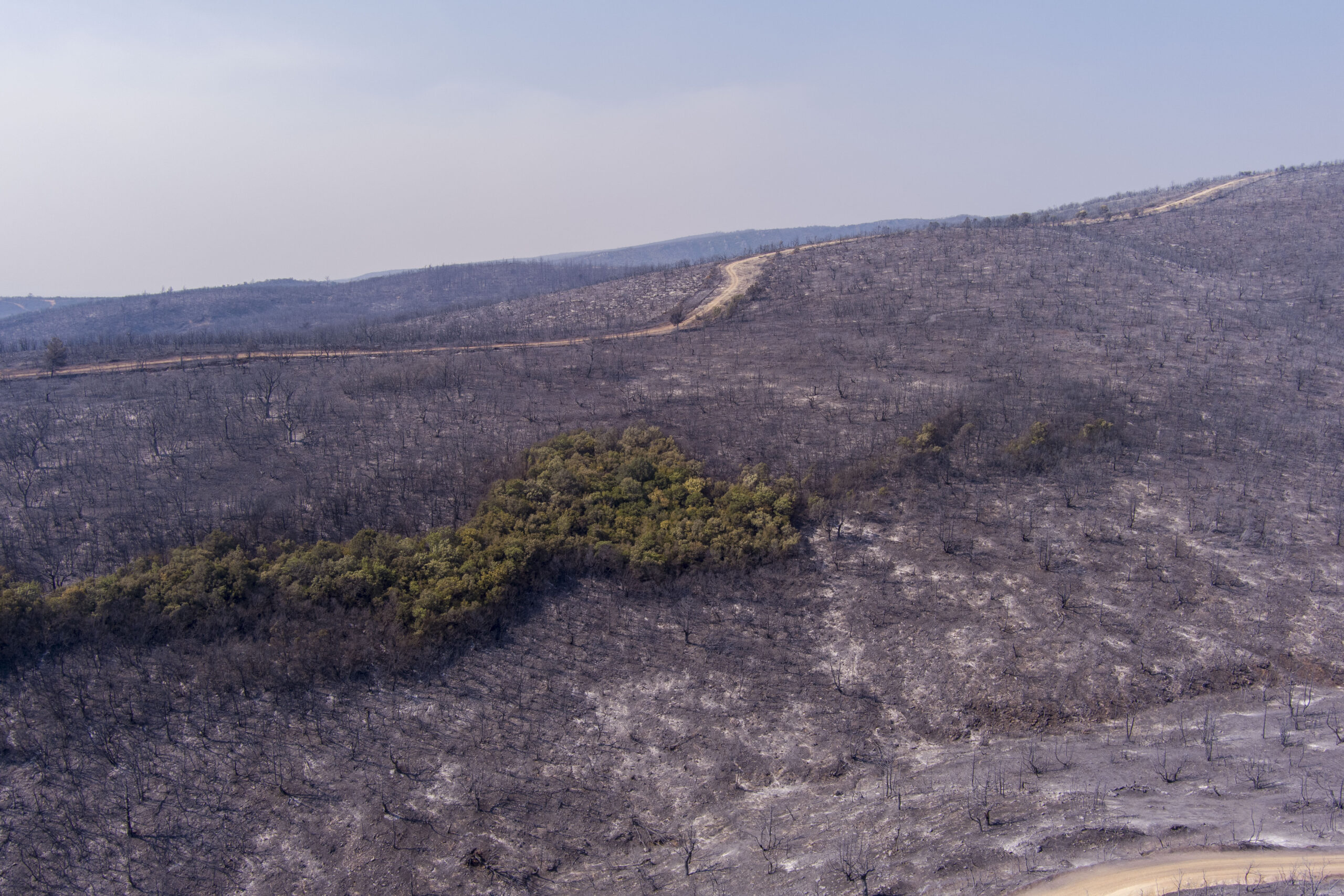 Η θερμική κάμερα αποκαλύπτει το θερμικό κύμα που προκαλεί θάνατο (vid)