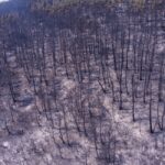 Αλεξανδρούπολη: «Η μεγαλύτερη καμένη έκταση σε ευρωπαϊκό έδαφος εδώ και χρόνια» (vid)