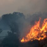 Υπό έλεγχο η φωτιά έξω από την Κασσάνδρεια Χαλκιδικής