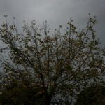 Μήνυμα ετοιμότητας σε πολλές περιοχές της Μακεδονίας για έκτακτα καιρικά φαινόμενα (vid)