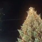 Άναψε το πρώτο χριστουγεννιάτικο δέντρο στην Ελλάδα! (vid)