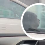 Ένας κοιμισμένος… κυριολεκτικά οδηγός διασχίζει λεωφόρο! (vid)