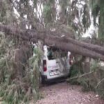 Θεσσαλονίκη: Ξεριζώθηκαν δέντρα από σχολείο και πλάκωσαν αυτοκίνητο (vid)