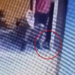 Θεσσαλονίκη: Απαλλάχτηκε με βούλευμα ο 42χρονος που κατηγορήθηκε ότι συνέθλιψε με το πόδι του ένα γατάκι