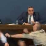 Γεωργία: Χάος στην Βουλή – Κάμερες κατέγραψαν άγριο ξύλο μεταξύ βουλευτών (vid)