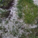 Ξάνθη: Μεγάλες καταστροφές σε δέντρα και χωράφια από το χαλάζι (pics)