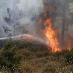 Φωτιά τώρα στην Πέλλα κοντά στο Μαυροβούνι