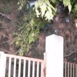 Θεσσαλονίκη: Φωτιά σε αυλή σχολείου στη Νεάπολη (vid)