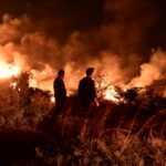 Εύβοια: Ολονύχτια μάχη με τις φλόγες (vid)